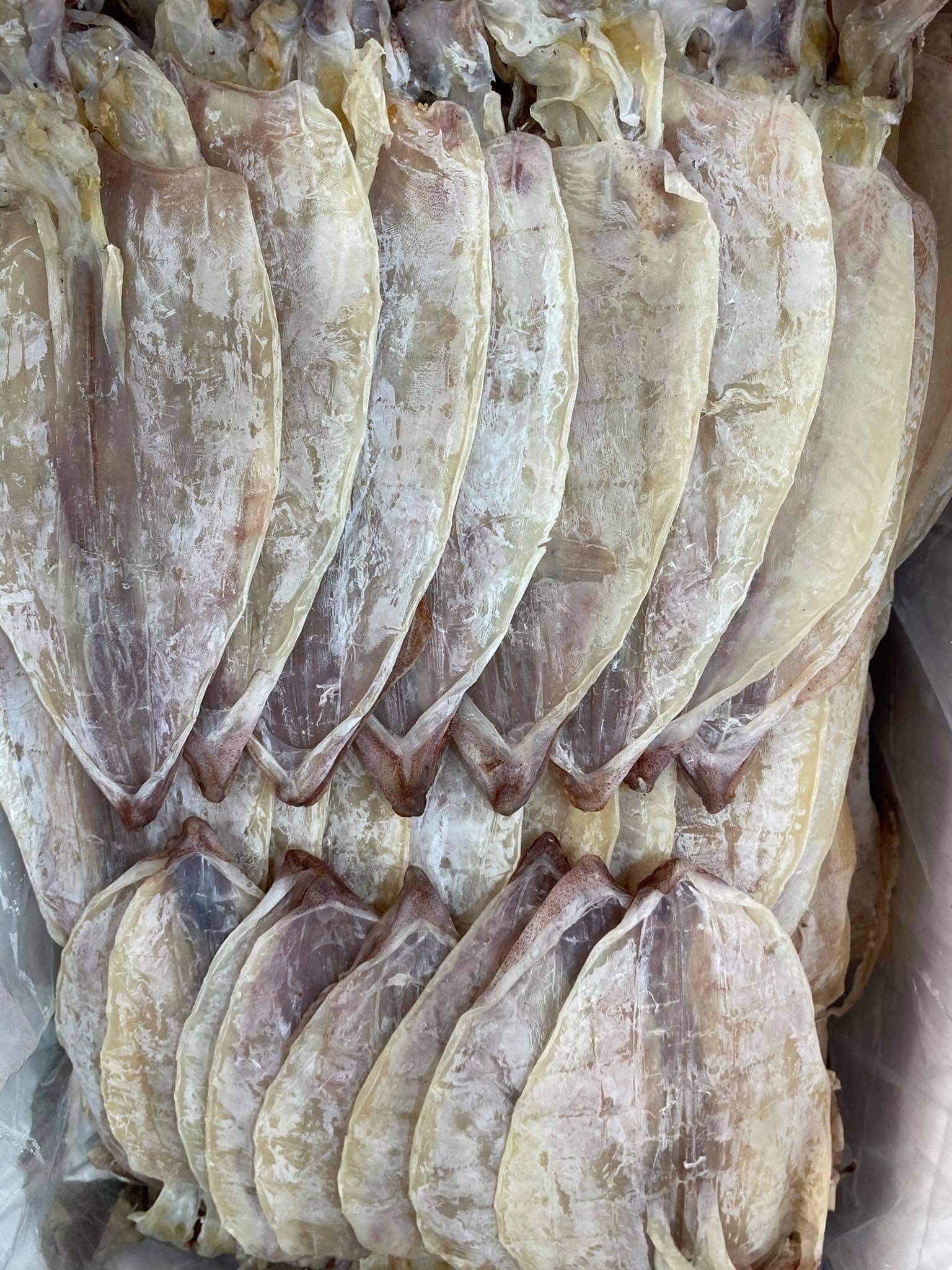 khô mực giá sỉ giá tốt