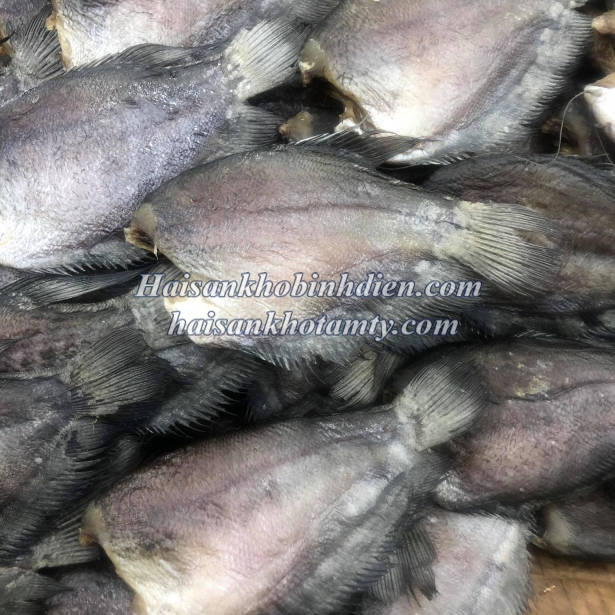 Khô Sặc Cắt Đầu 12c