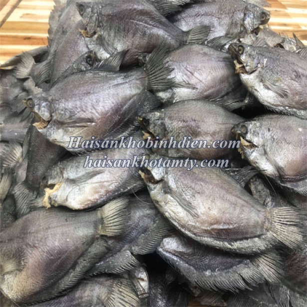 Khô Sặc size 12c